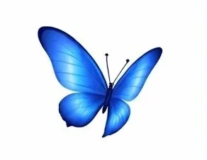 Butterfly Effect Care
