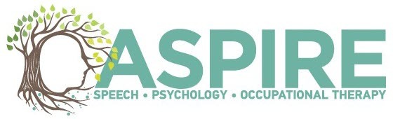 Aspire Speech