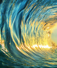 Book an Appointment with Dr. Angela Smith for Chiropractic